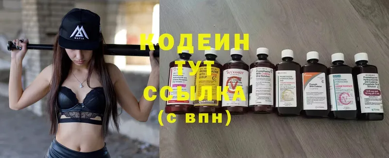 где купить   Петушки  Кодеиновый сироп Lean Purple Drank 